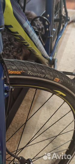 Merida Cyclo Cross 300 (merida cx300) 2018