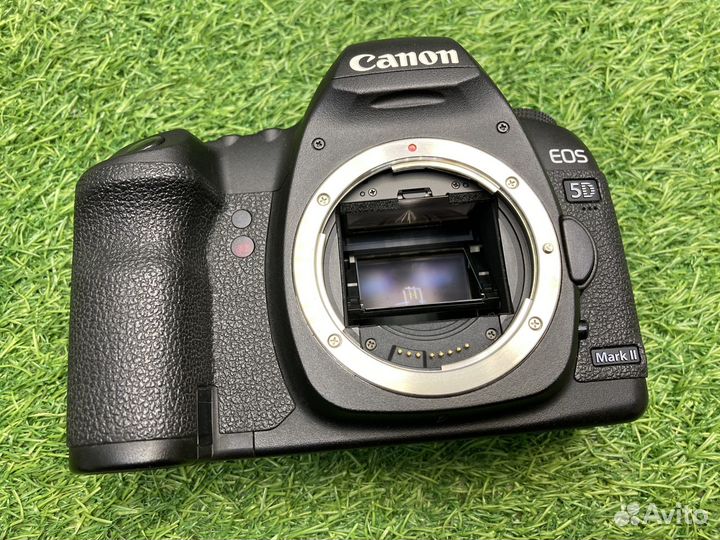 Canon EOS 5D Mark II 30.300 кадров