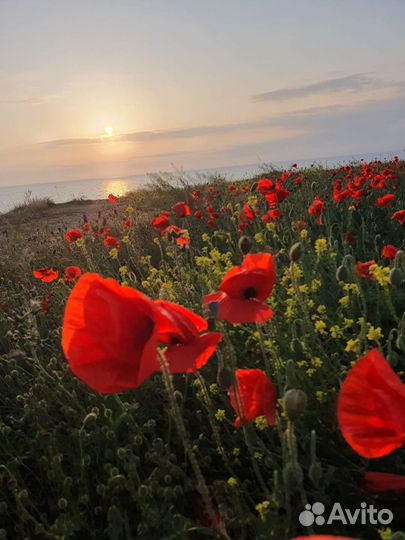 Палатка туристическая 2 местная