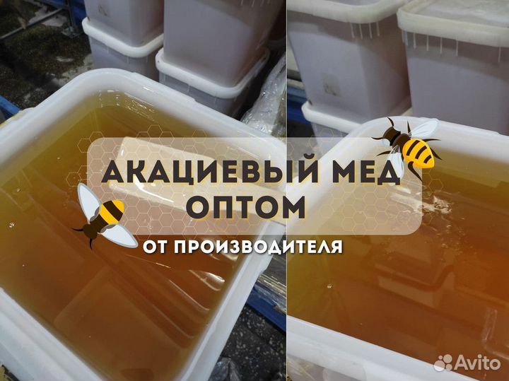Мёд свежий акация Оптом