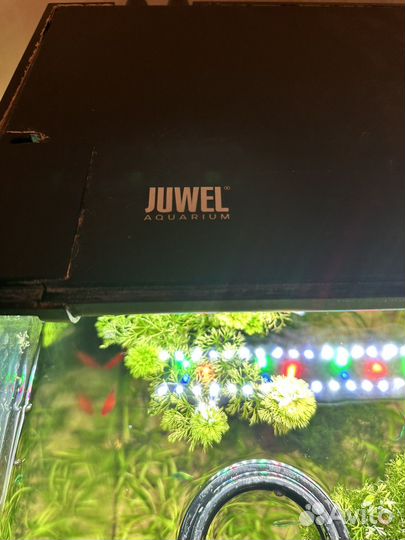 Продам аквариум Juwel с тумбой