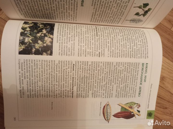 Энциклопедия