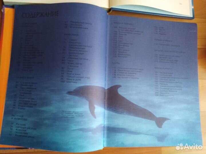 Книги для детей росмэн