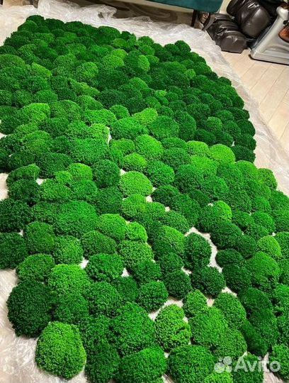 Стабилизированный мох для отделки помещений