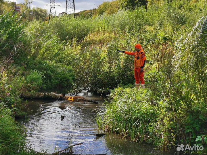 Передержка, дрессировка. Собаки спасатели