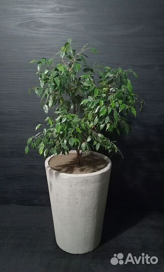 Горшки, Вазоны, Кашпо под заказ из бетона