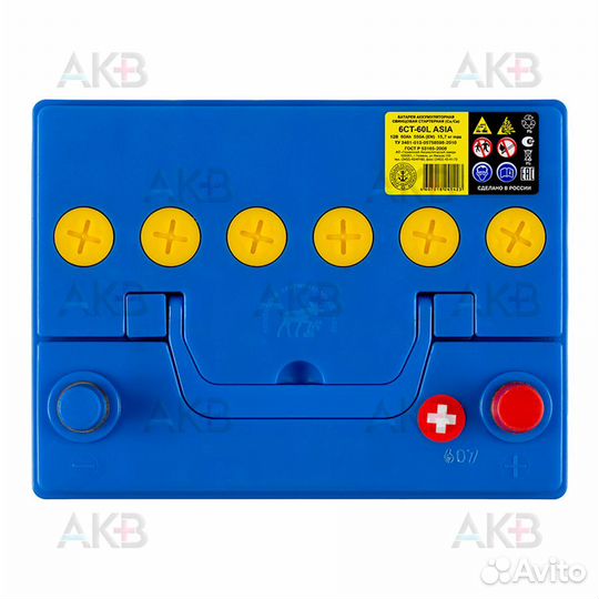 Аккумулятор автомобильный Tyumen Battery Asia 60 А