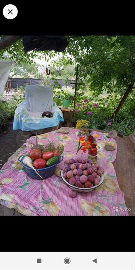 Дом 39,9 м² на участке 4,8 сот.