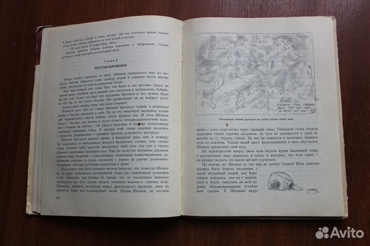 Серая Сова Саджо и ее бобры.1968г