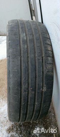 Continental ContiPremiumContact 5 205/55 R16 91H