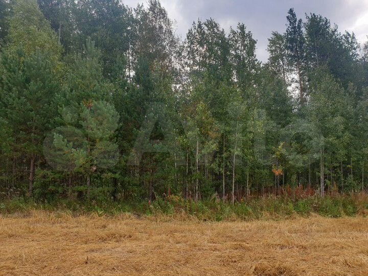 Участок 63,16 га (СНТ, ДНП)