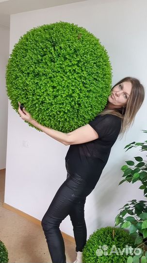 Самшит декоративный/ искусственное дерево