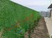 Зеленая изгородь Травяной забор жидар