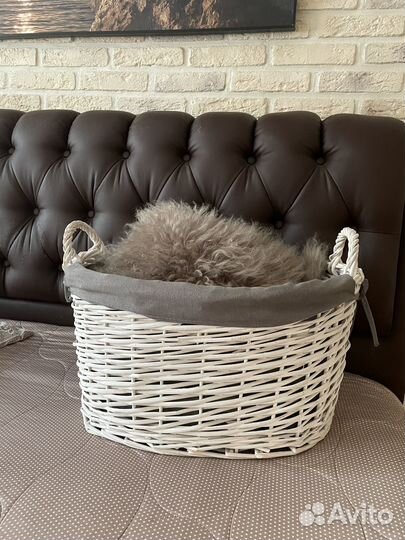 Корзина интерьерная