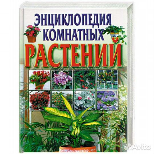 Энциклопедия комнатных растений. С. Быховец