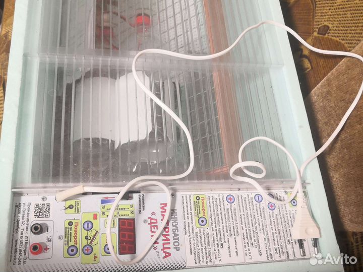 Автоматический инкубатор