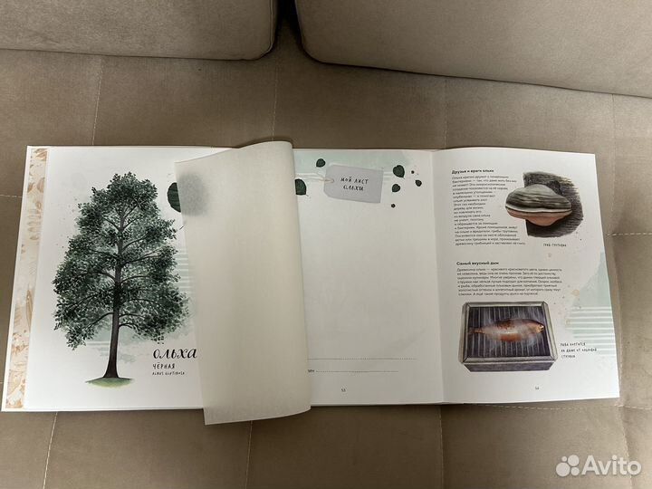 Книга мой гербарий