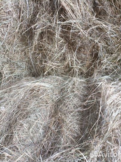 Продам сено хороший с доставкой