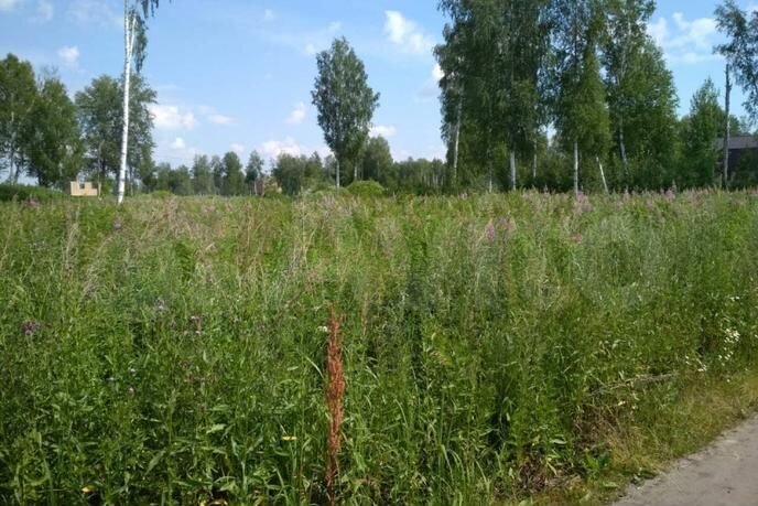 Участок 10 сот. (СНТ, ДНП)