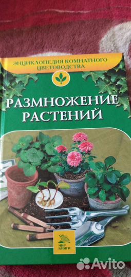 Энциклопедия комнатных растений