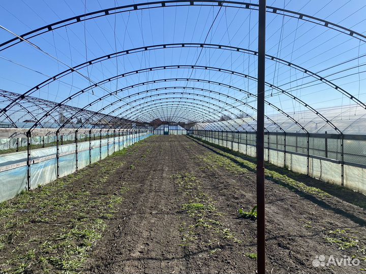 Сдаю/продаю огород