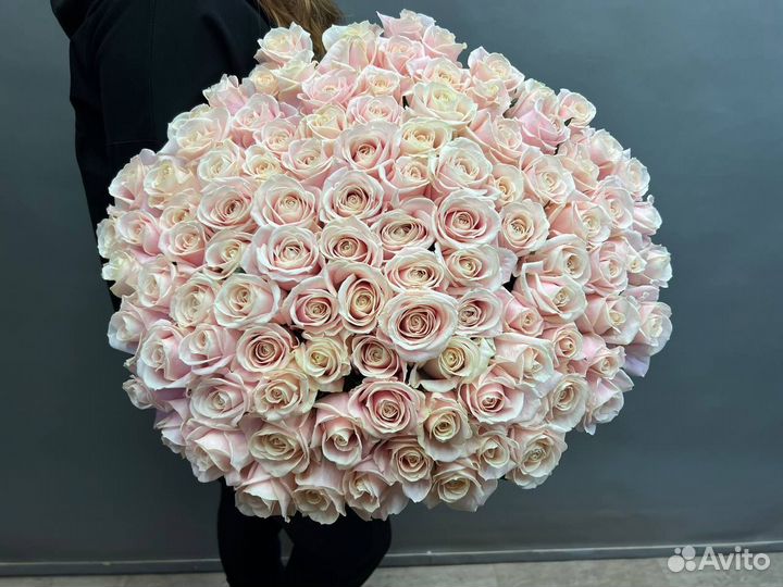 Свежие роза на выписку. Букет 101 роза 80см