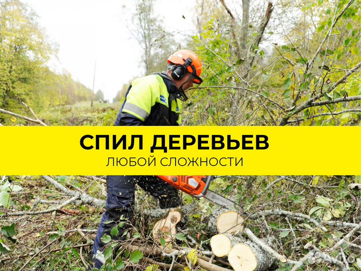 Расчистка участков. Спил деревьев Снос домов