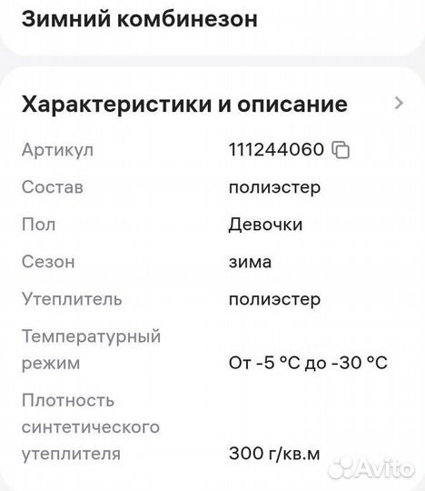 Зимний комбинезон 110