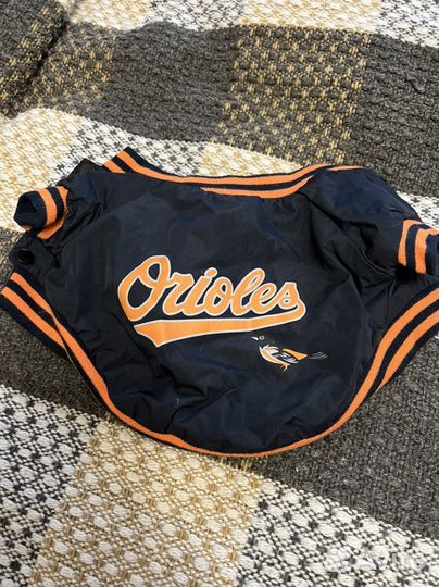 Одежда для собак