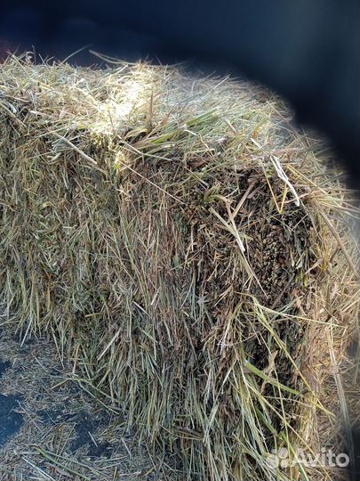 Сено в тюках разнотравье