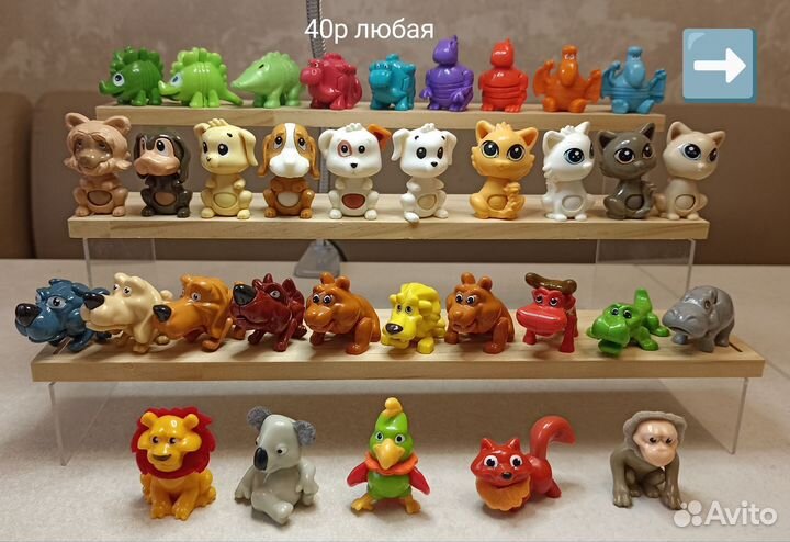 Животные нантус