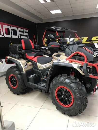 Снегоболотоход aodes Pathcross 1000L MUD PRO EPS