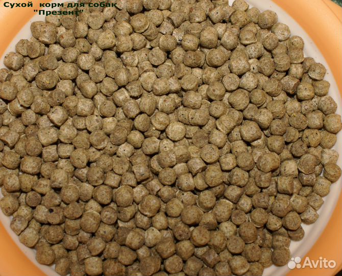 Полнорационный корм для собак