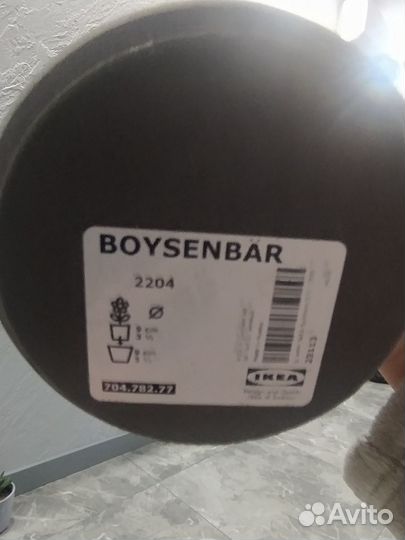 Комнатные растения