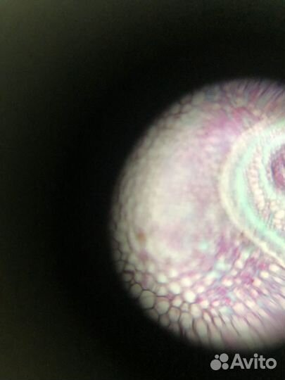 Карманный микроскоп световой фолдскоп