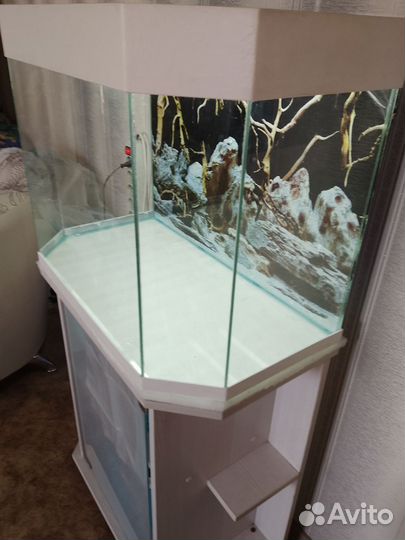 Аквариум