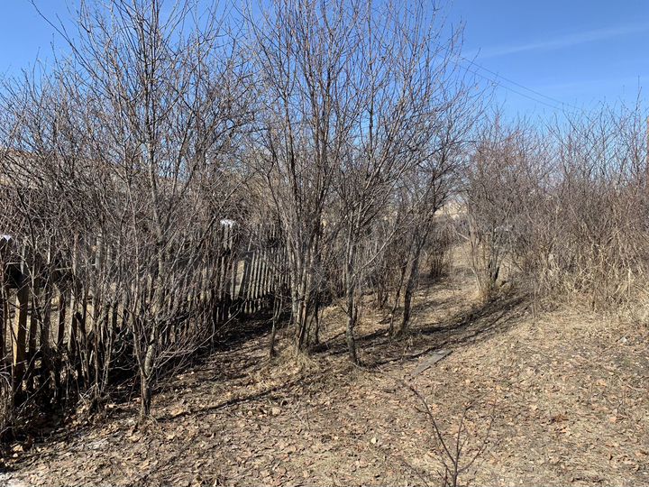 Участок 18 сот. (ИЖС)