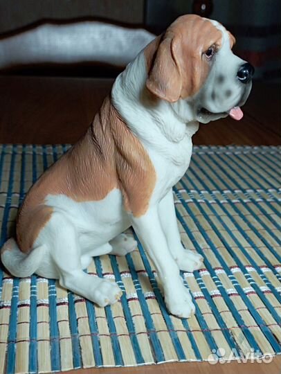 Собака Сенбернар