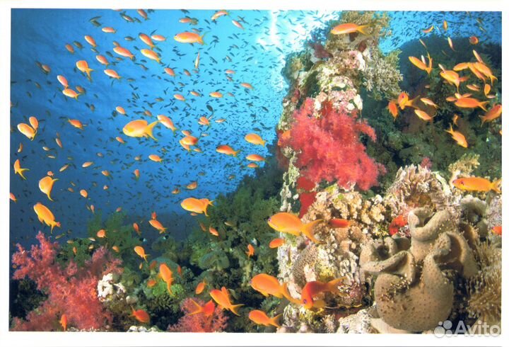 Печать фотографий