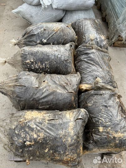 Удобрение, грибные блоки