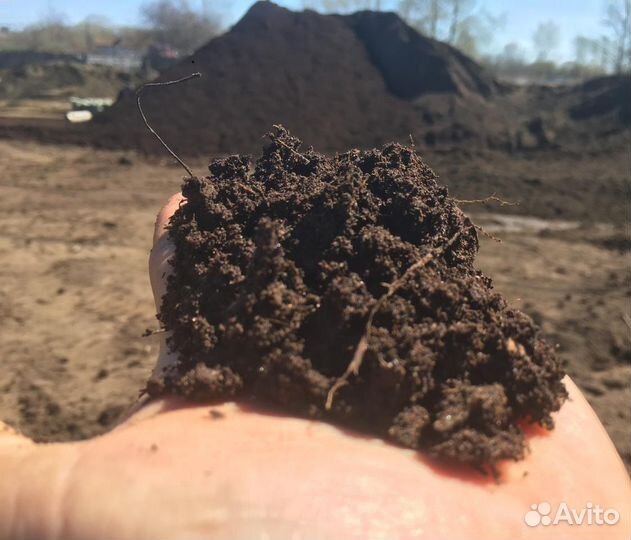 Чернозём чистый