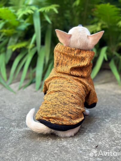 Футболка для собак