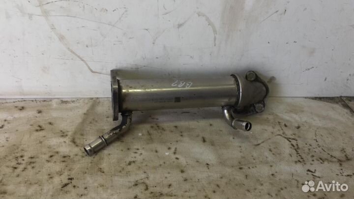 Радиатор системы EGR Ford Transit