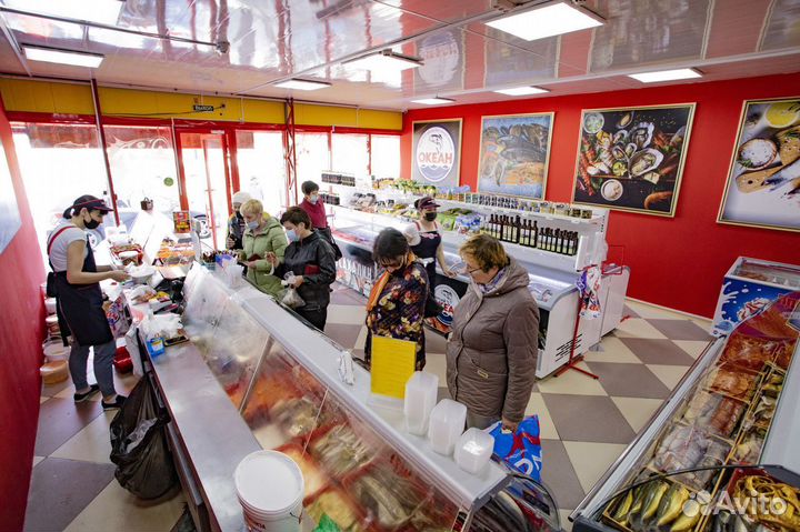 Франшиза Рыбного Магазина