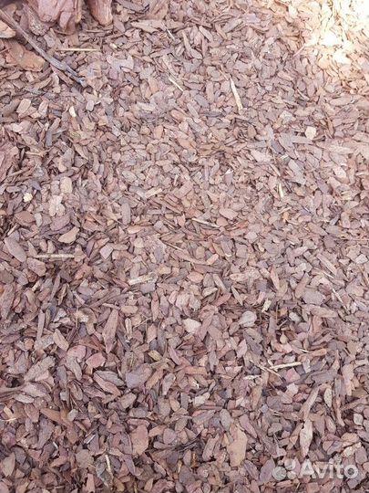 Мульча сосна лиственница