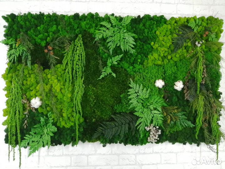 Мох стабилизированный оптом и в розницу