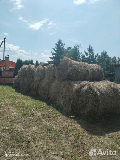 Продам сено в тюках