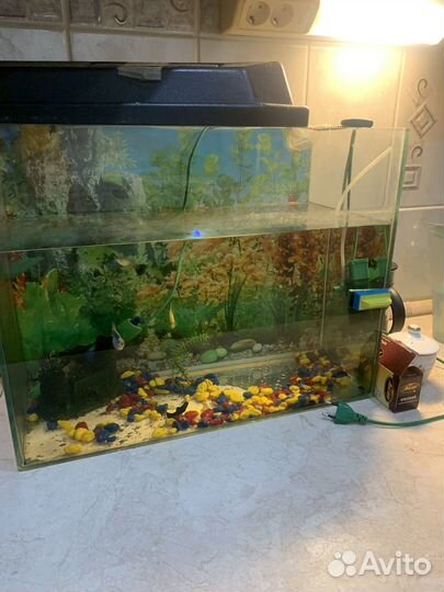 Аквариум