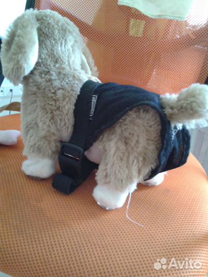 Трусики для собаки