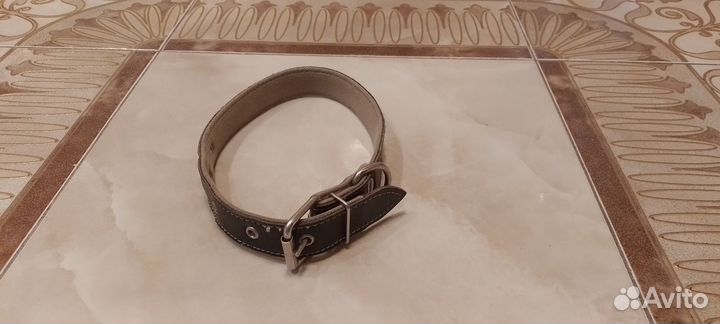 Ошейник для собаки